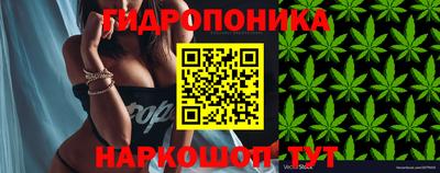 МДПВ Апшеронск