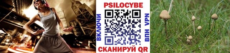 Псилоцибиновые грибы Magic Shrooms  ОМГ ОМГ зеркало  Истра 