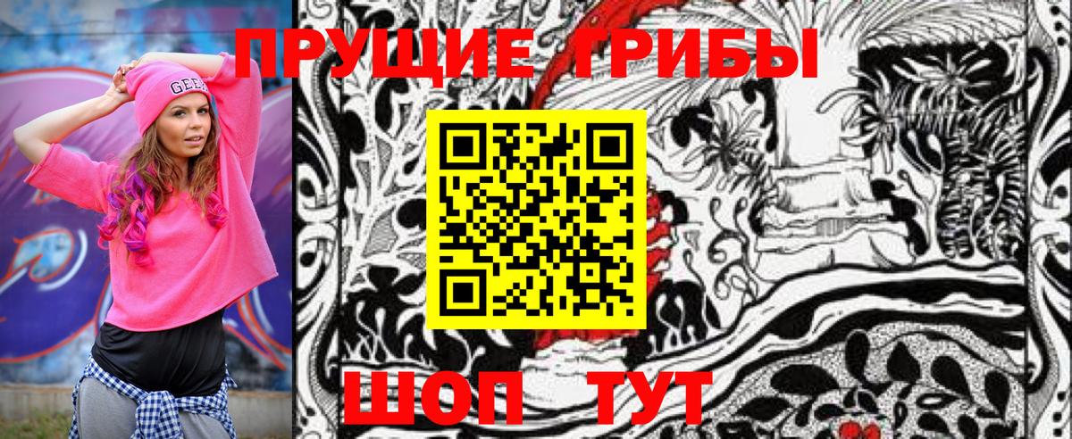 Истра  даркнет сайт  Вход с VPN  Псилоцибиновые грибы Psilocybine cubensis 