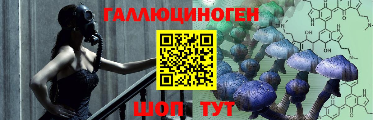 Псилоцибиновые грибы мицелий Истра
